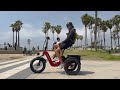 This Electric Trike Is A Couch On Wheels - Puckipuppy Husky Electric Tricycle Review