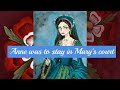 Anne Boleyns childhood in pictures | birth to meeting Henry