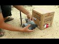 Creative Life Hack : DIY Pigeon Bird Trap with Cardboard Box