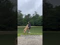 Golden Retriever Pushes Owner Into Pond - 1499133