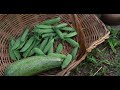 Cooking with Mulberries | ASMR Campfire Cooking in the Iowa Countryside