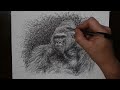 Incredible Speed Sketching with a Biro Pen
