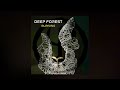 Burning Sun - First single teaser | Deep Forest