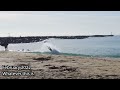 6 Month Skimboarding Progression at The Wedge!