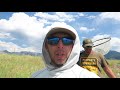 FLY FISHING THE YELLOWSTONE RIVER IN MONTANA