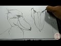 Menggambar Burung Shoebill Setelah nonton Anime Shangri-La Frontier