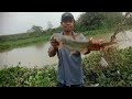 ini lah monster penunggu sungai dan rawa #mancingliar #mancingsungai #mancingrawa