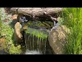 Pond filtration| Crystal clear water