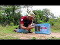 Best Quick Bird Trap Using Vital Cardboard Box And Woods - How To Make Bird Trap