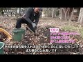 落ち葉を使った畑のつくり方：土中環境の改善方法