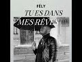 Fely LVP - Tu es dans mes rêves