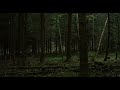 The sounds of forest - Ambient sounds,sounds escape, relax