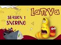 Special Chocolate Box - LARVA Season 3 - New Larva - Funny Cartoon - Special Video by LARVA.