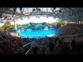 Orlando 2014 - Day 4 - Shamu Part 1