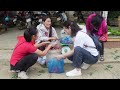 Harvest Plums Fruit Goes to market sell - Daily life | Lý Tiểu Anh