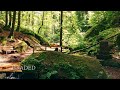 DJI Spark Video Sample -- Color Graded vs Ungraded