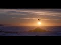 RIALIANS ON EARTH - GLUE (Music Video) [BICEP - GLUE REMIX]
