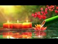 Healing Sleep Music - Stress Relief with Bird Sounds, Relax Piano, Relax Your Mind, Water Sounds