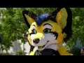 Being a Furry for a Day