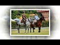 Beamish Museum Horses in Harness 2024 (Part 1) #horses #beamish #horsemanship #2024 #museum #daysout