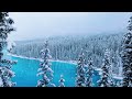 Winter Lake Ambience 4K | Snowy Woods | Blizzard Forest Trees Ambience | Nature Wind Relaxing Sounds
