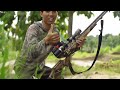 Mencari markas burung tekukur‼️berburu tekukur di sawah