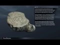 Middle Earth Shadow of Mordor: All Artifacts