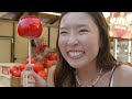 Pattaya Coolest Seafood Market! - Bangsaen Fish Market🇹🇭 (ตลาดบางแสน)