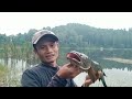 KALANG KABUT...‼️ Bergetar Lutut Di Buatnya Saat Umpanku Langsung Di Sambar Ikan Gabus Monster