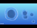Restore Your Body Healing Power..432 Hz Cell Regeneration | Full Body Healing Music with Alpha Waves