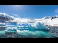 Antarctica (Original Mix) - Crisalid3
