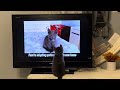 Fumi watches himself on YouTube!Cutest reactions. 🐈‍⬛ 📺@FumiTheKitten #viral #cat #cute #kitten