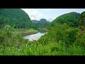 Peaceful Piano Music for Meditation In Tropical Paradise In 4K