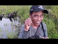 AMBYAR.!! MANCING IKAN GABUS DI RAWA AIR HITAM UMPAN PEPSODENT@Inyong Surman