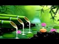 Relaxing Music That Heals Stress, Anxiety and Depressive Conditions, Heals, Gentle Music