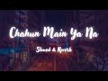 Chahun Main Ya Na | (Slowed & Reverb) | Lofi Song | Arjit Singh