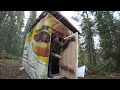 Life alone in the forest, Heavy rain, hiding in a hut from thunderstorms