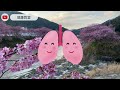 EP137 （CC字幕）越唱越勇！｜ 譚輝智 《決擇》 表現評析｜【中年好聲音2】