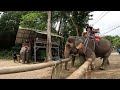 Thailand Trailer