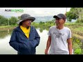 Crayfish Farming in the Philippines: Pinaka magandang Pagkakitaan Ngayon!