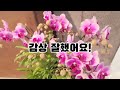 이상권 작가 초대전 두나무아트큐브#안양예술공원