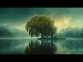 Willow + Ethereal Melancholic Meditative Neoclassical Ambient Music