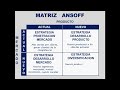 ANSOFF Matrix: growth strategies for your business