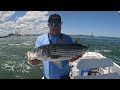 Flounder, Rockfish and BIG BLUEFISH at the Jetty