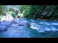 Mountain river sounds for sleeping white noise relaxing healing study refreshing