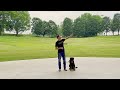 How to TRAIN A Dog To Actually LISTEN To Obedience Commands