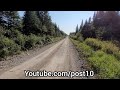 Removing Large Beaver Dam To Drain Flooded Road. Unclogging Culvert