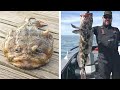 Fishing Anomalies Captured That No One Believed to Have Existed