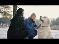 Stop Feeding Your Golden Retriever In A Food Bowl