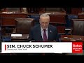 'A Matter Of Life And Death': Chuck Schumer Implores GOP Colleagues To Not Block Bump Stock Ban Bill